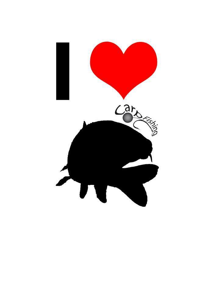 tot felu - 607114320721568566021575097437n.jpg